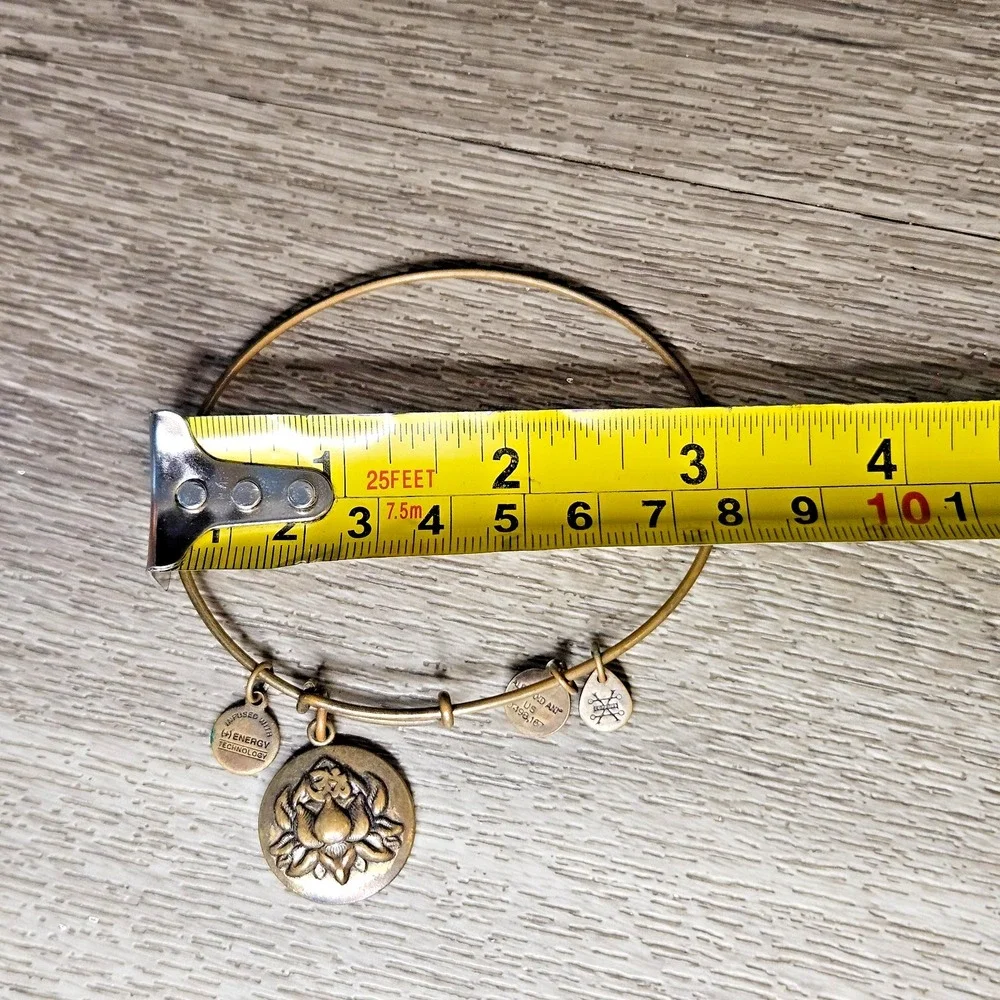 Alex And Ani Lotus Peace Petals Rafaelian Charm Bangle Bracelet